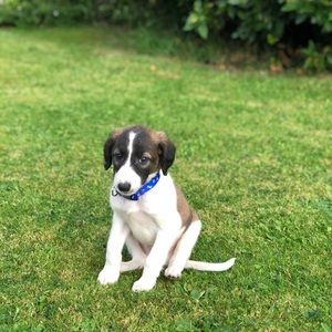 Meet your Posher, Becca